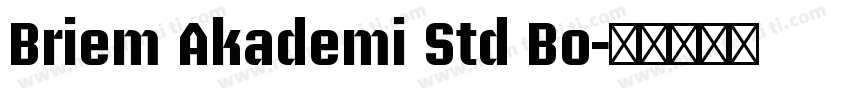 Briem Akademi Std Bo字体转换